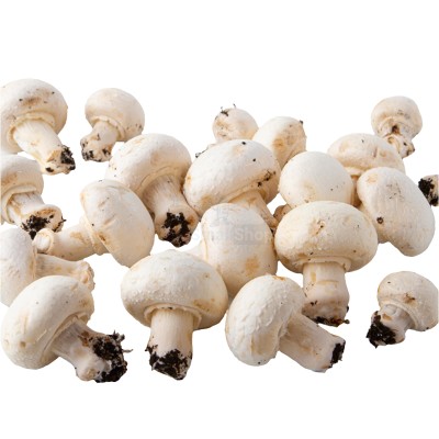 Шампиньоны свежие 500 г - купить в Кулмуксе